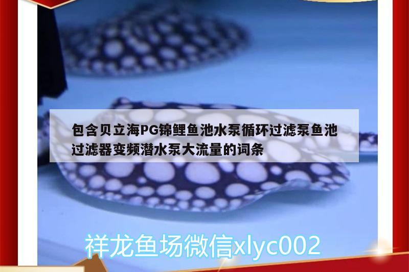 包含貝立海PG錦鯉魚池水泵循環(huán)過濾泵魚池過濾器變頻潛水泵大流量的詞條