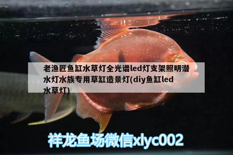 老漁匠魚缸水草燈全光譜led燈支架照明潛水燈水族專用草缸造景燈(diy魚缸led水草燈) 水草