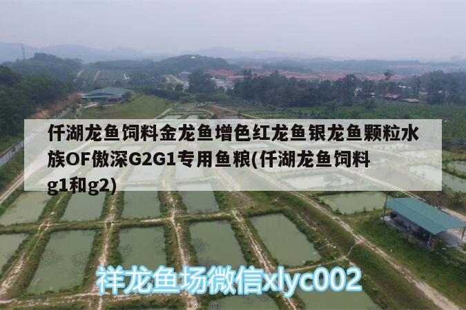 仟湖龍魚飼料金龍魚增色紅龍魚銀龍魚顆粒水族OF傲深G2G1專用魚糧(仟湖龍魚飼料g1和g2) 仟湖