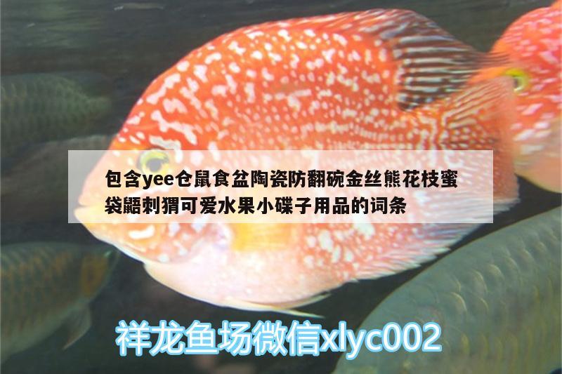 包含yee倉鼠食盆陶瓷防翻碗金絲熊花枝蜜袋鼯刺猬可愛水果小碟子用品的詞條