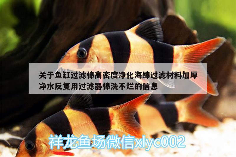 關(guān)于魚(yú)缸過(guò)濾棉高密度凈化海綿過(guò)濾材料加厚凈水反復(fù)用過(guò)濾器棉洗不爛的信息