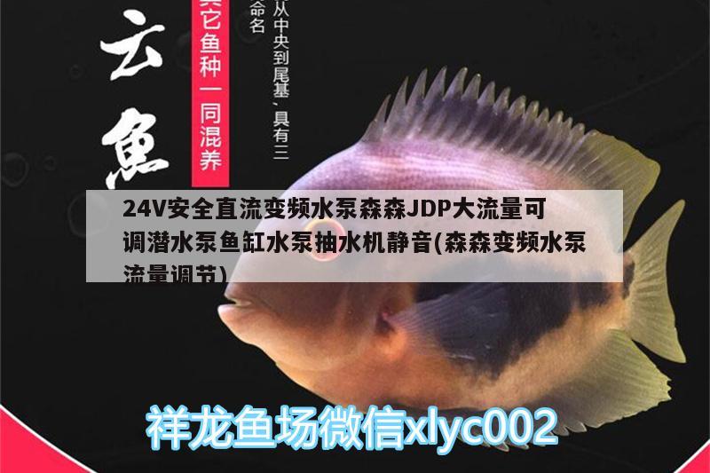 24V安全直流變頻水泵森森JDP大流量可調(diào)潛水泵魚缸水泵抽水機靜音(森森變頻水泵流量調(diào)節(jié)) 魚缸水泵