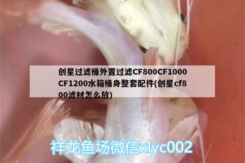 創(chuàng)星過濾桶外置過濾CF800CF1000CF1200水箱桶身整套配件(創(chuàng)星cf800濾材怎么放)