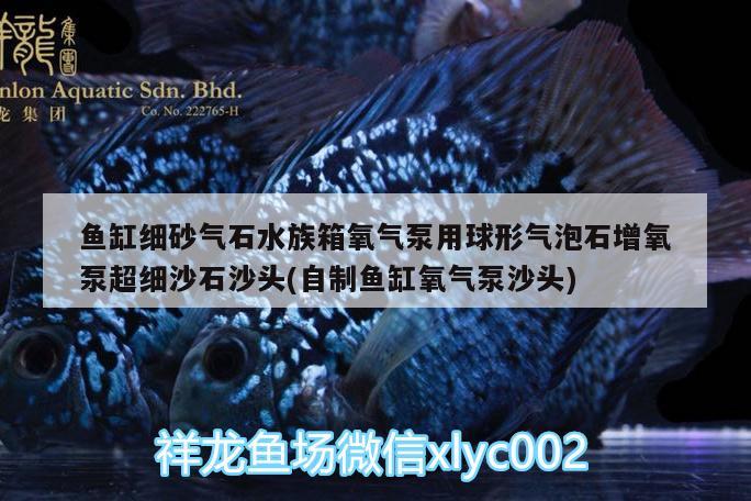 魚缸細(xì)砂氣石水族箱氧氣泵用球形氣泡石增氧泵超細(xì)沙石沙頭(自制魚缸氧氣泵沙頭)