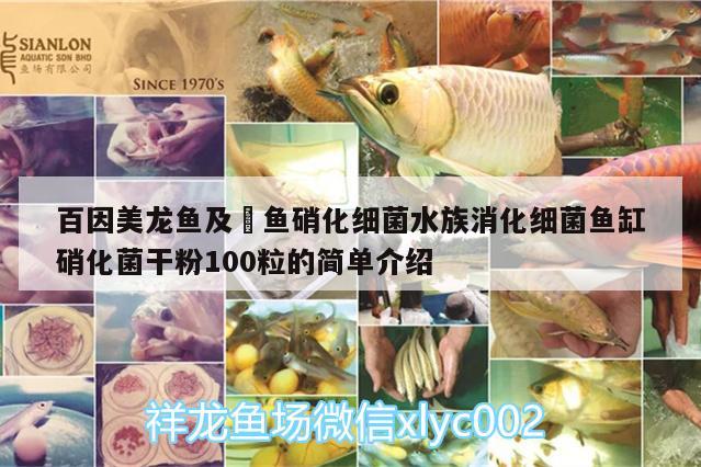 百因美龍魚及魟魚硝化細(xì)菌水族消化細(xì)菌魚缸硝化菌干粉100粒的簡單介紹 硝化細(xì)菌