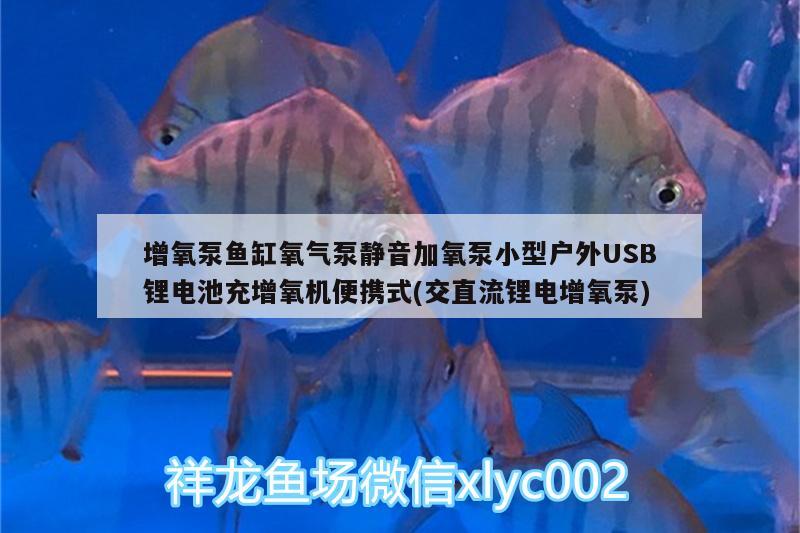 增氧泵魚缸氧氣泵靜音加氧泵小型戶外USB鋰電池充增氧機便攜式(交直流鋰電增氧泵)