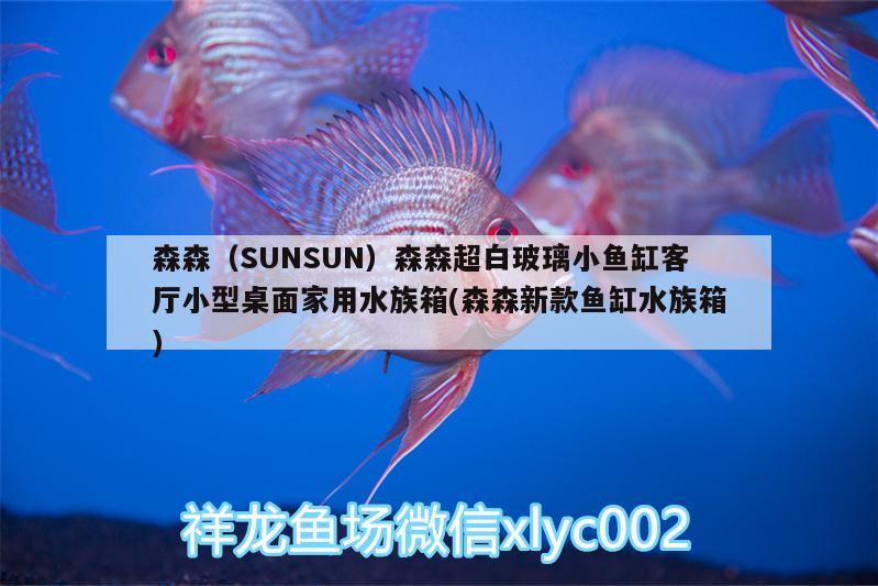 森森（SUNSUN）森森超白玻璃小魚(yú)缸客廳小型桌面家用水族箱(森森新款魚(yú)缸水族箱)