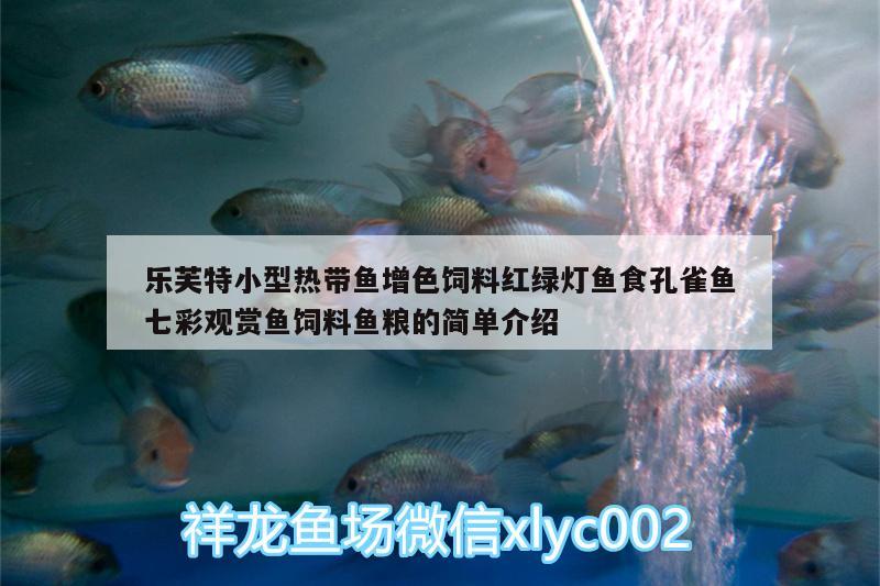 樂芙特小型熱帶魚增色飼料紅綠燈魚食孔雀魚七彩觀賞魚飼料魚糧的簡單介紹