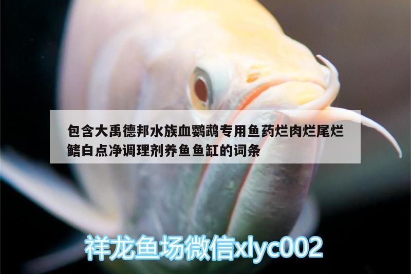 包含大禹德邦水族血鸚鵡專用魚(yú)藥爛肉爛尾爛鰭白點(diǎn)凈調(diào)理劑養(yǎng)魚(yú)魚(yú)缸的詞條 鸚鵡魚(yú)