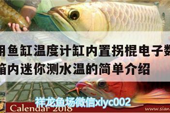 水族專用魚缸溫度計缸內(nèi)置拐棍電子數(shù)顯高精度水族箱內(nèi)迷你測水溫的簡單介紹 魚缸/水族箱