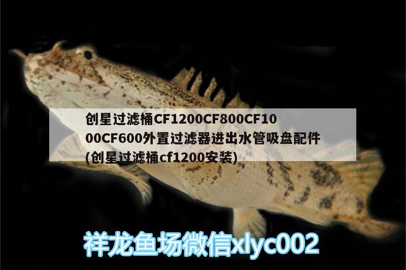 創(chuàng)星過濾桶CF1200CF800CF1000CF600外置過濾器進(jìn)出水管吸盤配件(創(chuàng)星過濾桶cf1200安裝)