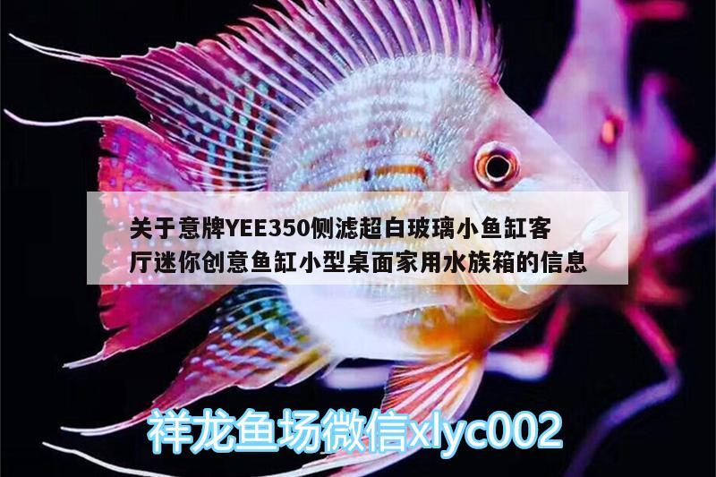 關(guān)于意牌YEE350側(cè)濾超白玻璃小魚缸客廳迷你創(chuàng)意魚缸小型桌面家用水族箱的信息