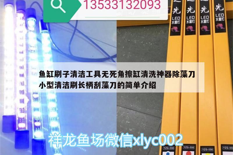 魚缸刷子清潔工具無死角擦缸清洗神器除藻刀小型清潔刷長柄刮藻刀的簡單介紹 廣州水族器材濾材批發(fā)市場 第1張