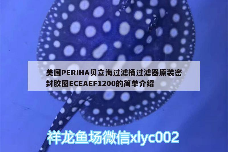 美國(guó)PERIHA貝立海過(guò)濾桶過(guò)濾器原裝密封膠圈ECEAEF1200的簡(jiǎn)單介紹