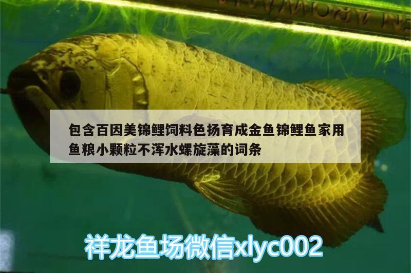 包含百因美錦鯉飼料色揚育成金魚錦鯉魚家用魚糧小顆粒不渾水螺旋藻的詞條