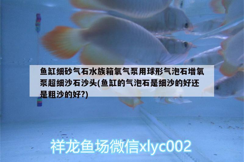 魚缸細(xì)砂氣石水族箱氧氣泵用球形氣泡石增氧泵超細(xì)沙石沙頭(魚缸的氣泡石是細(xì)沙的好還是粗沙的好?) 魚缸/水族箱