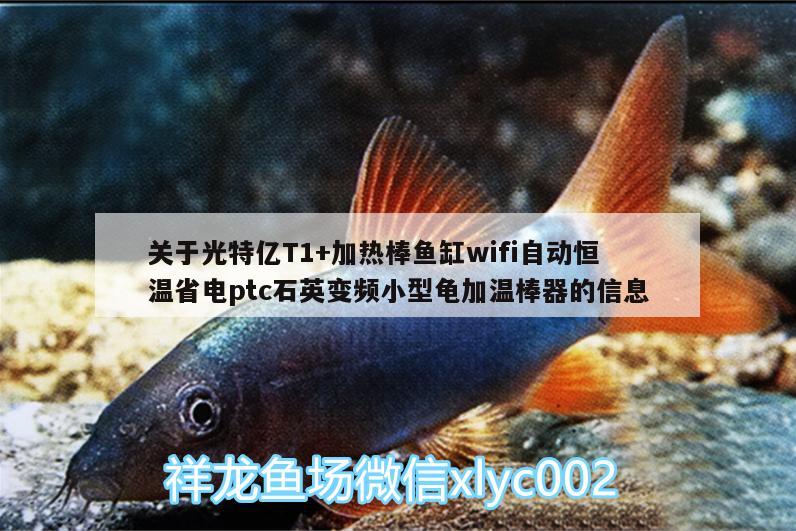 關(guān)于光特億T1+加熱棒魚缸wifi自動(dòng)恒溫省電ptc石英變頻小型龜加溫棒器的信息