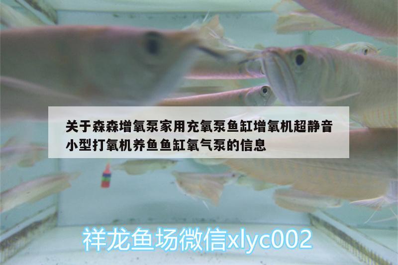 關(guān)于森森增氧泵家用充氧泵魚缸增氧機(jī)超靜音小型打氧機(jī)養(yǎng)魚魚缸氧氣泵的信息