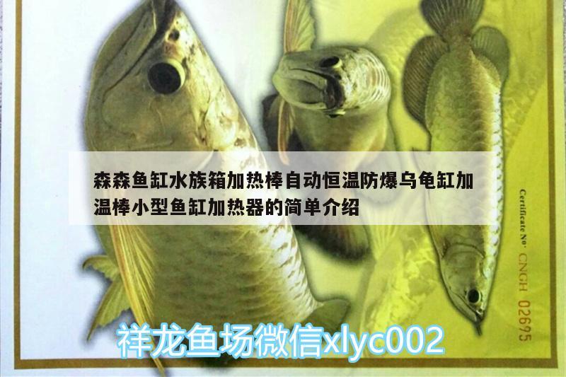 森森魚(yú)缸水族箱加熱棒自動(dòng)恒溫防爆烏龜缸加溫棒小型魚(yú)缸加熱器的簡(jiǎn)單介紹 烏龜