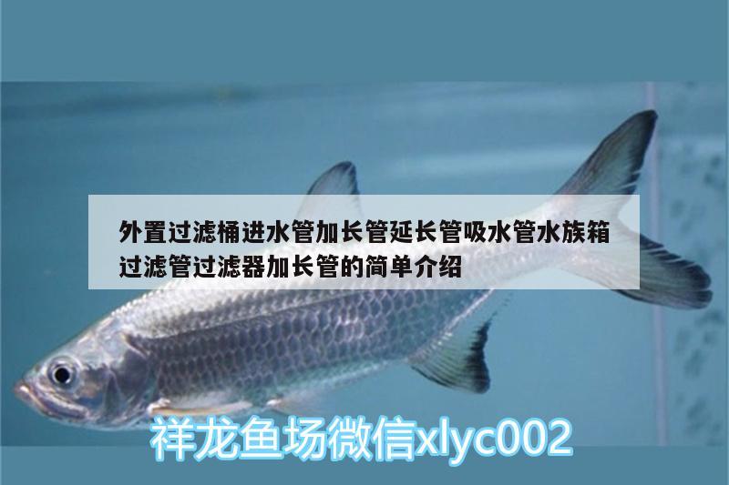 外置過濾桶進水管加長管延長管吸水管水族箱過濾管過濾器加長管的簡單介紹 魚缸/水族箱