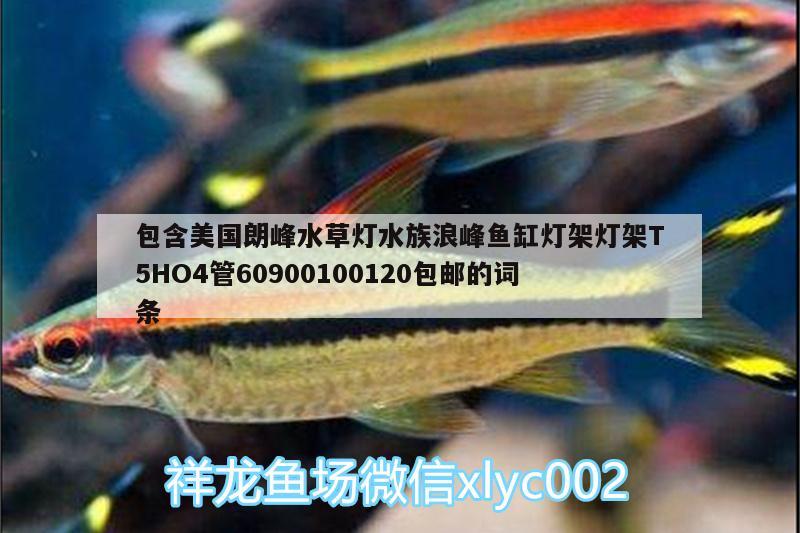 包含美國朗峰水草燈水族浪峰魚缸燈架燈架T5HO4管60900100120包郵的詞條