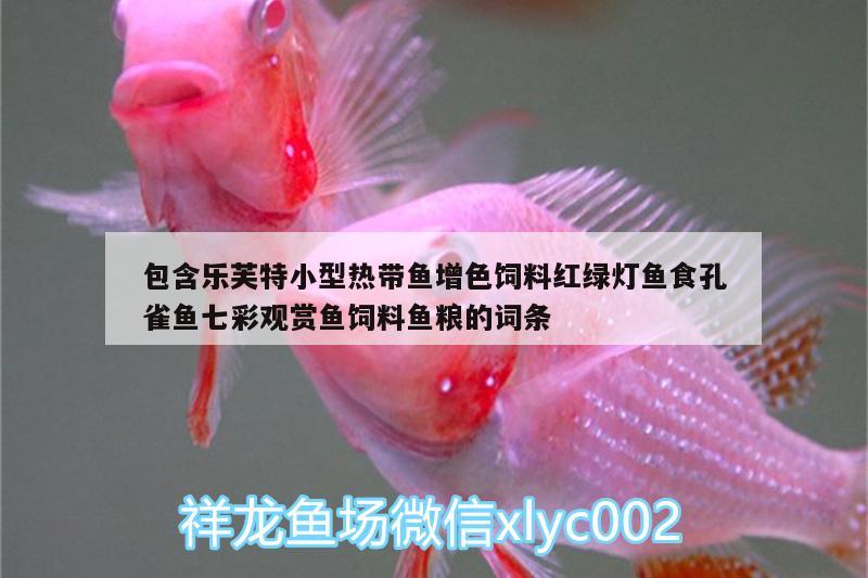 包含樂芙特小型熱帶魚增色飼料紅綠燈魚食孔雀魚七彩觀賞魚飼料魚糧的詞條 廣州水族器材濾材批發(fā)市場(chǎng)