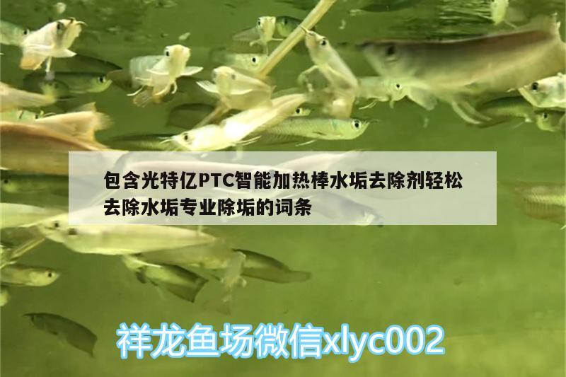 包含光特億PTC智能加熱棒水垢去除劑輕松去除水垢專業(yè)除垢的詞條