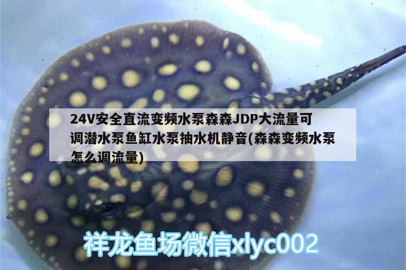 24V安全直流變頻水泵森森JDP大流量可調(diào)潛水泵魚(yú)缸水泵抽水機(jī)靜音(森森變頻水泵怎么調(diào)流量)