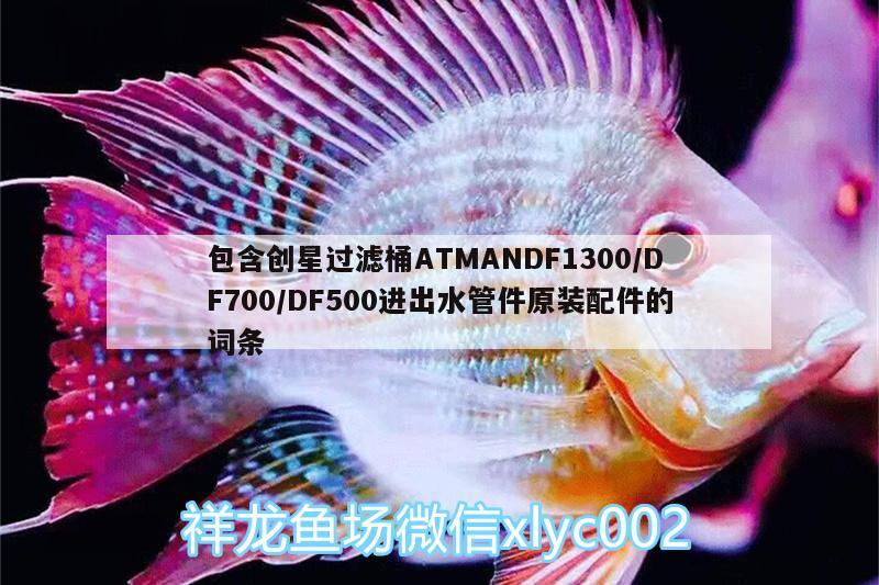 包含創(chuàng)星過(guò)濾桶ATMANDF1300/DF700/DF500進(jìn)出水管件原裝配件的詞條 廣州水族器材濾材批發(fā)市場(chǎng)