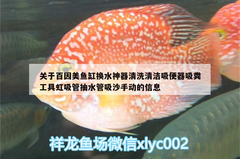 關(guān)于百因美魚缸換水神器清洗清潔吸便器吸糞工具虹吸管抽水管吸沙手動的信息 廣州水族器材濾材批發(fā)市場