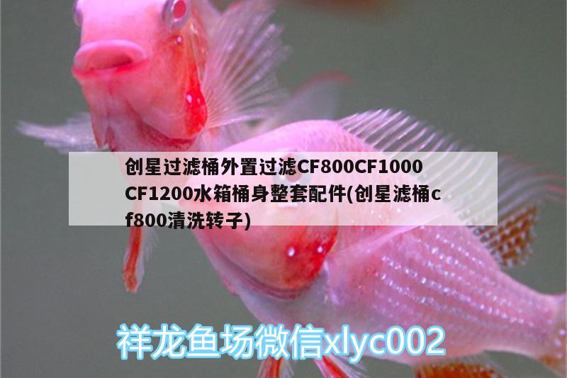 創(chuàng)星過濾桶外置過濾CF800CF1000CF1200水箱桶身整套配件(創(chuàng)星濾桶cf800清洗轉(zhuǎn)子) 廣州水族器材濾材批發(fā)市場