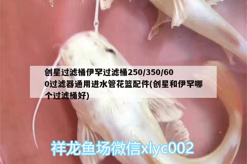 創(chuàng)星過濾桶伊罕過濾桶250/350/600過濾器通用進水管花籃配件(創(chuàng)星和伊罕哪個過濾桶好) 伊罕水族