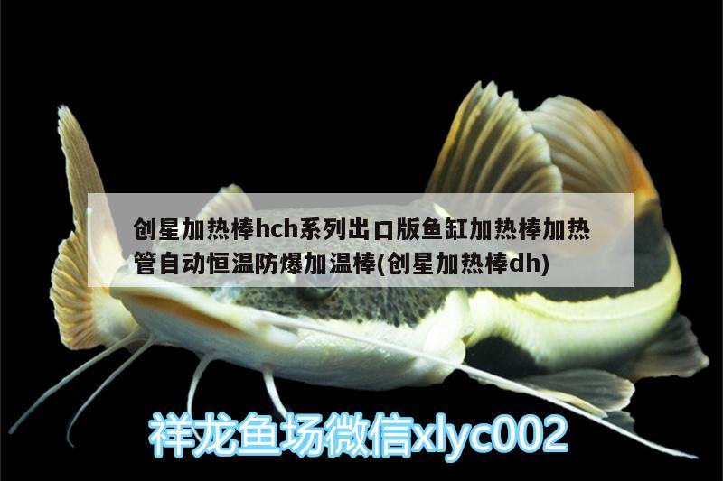 創(chuàng)星加熱棒hch系列出口版魚缸加熱棒加熱管自動恒溫防爆加溫棒(創(chuàng)星加熱棒dh)