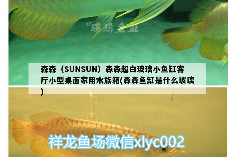 森森（SUNSUN）森森超白玻璃小魚(yú)缸客廳小型桌面家用水族箱(森森魚(yú)缸是什么玻璃)