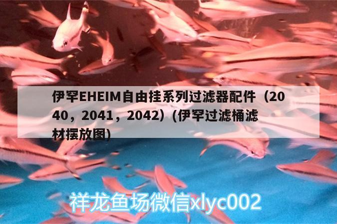 伊罕EHEIM自由掛系列過(guò)濾器配件（2040，2041，2042）(伊罕過(guò)濾桶濾材擺放圖) 伊罕水族