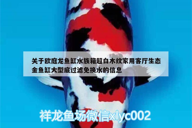 關(guān)于歐庭龍魚缸水族箱超白木紋家用客廳生態(tài)金魚缸大型底過濾免換水的信息 魚缸/水族箱