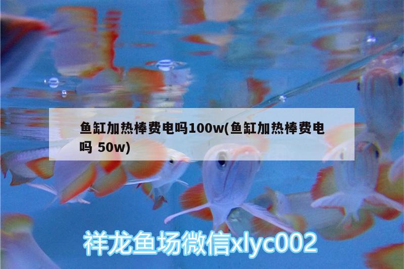 魚(yú)缸加熱棒費(fèi)電嗎100w(魚(yú)缸加熱棒費(fèi)電嗎50w)