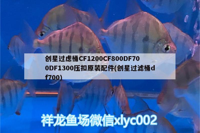 創(chuàng)星過慮桶CF1200CF800DF700DF1300壓扣原裝配件(創(chuàng)星過濾桶df700) 廣州水族器材濾材批發(fā)市場(chǎng)