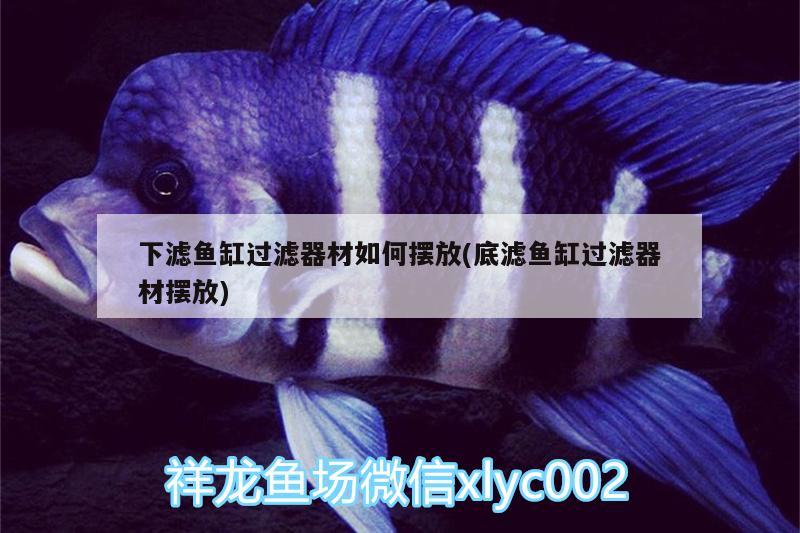 下濾魚缸過濾器材如何擺放(底濾魚缸過濾器材擺放)