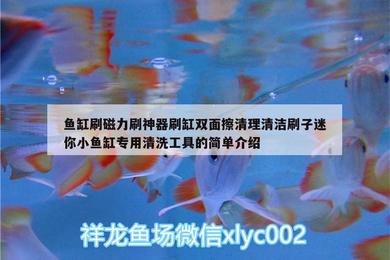 魚缸刷磁力刷神器刷缸雙面擦清理清潔刷子迷你小魚缸專用清洗工具的簡單介紹