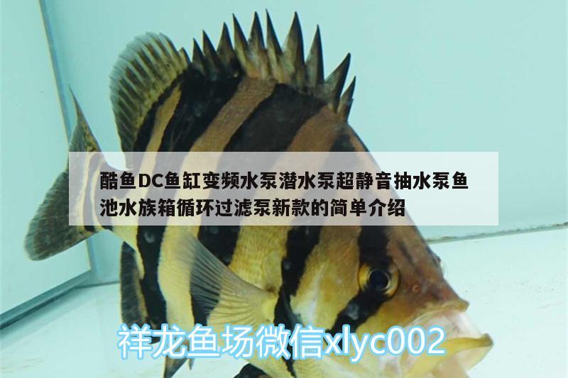 酷魚(yú)DC魚(yú)缸變頻水泵潛水泵超靜音抽水泵魚(yú)池水族箱循環(huán)過(guò)濾泵新款的簡(jiǎn)單介紹 魚(yú)缸/水族箱