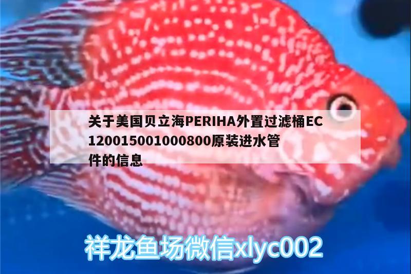 關(guān)于美國貝立海PERIHA外置過濾桶EC120015001000800原裝進(jìn)水管件的信息 垂釣樂園