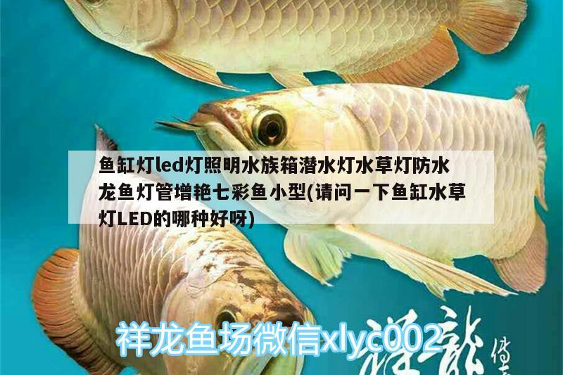 魚缸燈led燈照明水族箱潛水燈水草燈防水龍魚燈管增艷七彩魚小型(請問一下魚缸水草燈LED的哪種好呀)