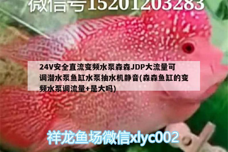 24V安全直流變頻水泵森森JDP大流量可調(diào)潛水泵魚(yú)缸水泵抽水機(jī)靜音(森森魚(yú)缸的變頻水泵調(diào)流量+是大嗎)