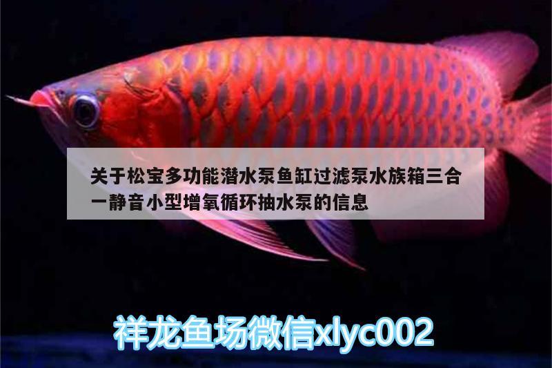 關(guān)于松寶多功能潛水泵魚缸過濾泵水族箱三合一靜音小型增氧循環(huán)抽水泵的信息