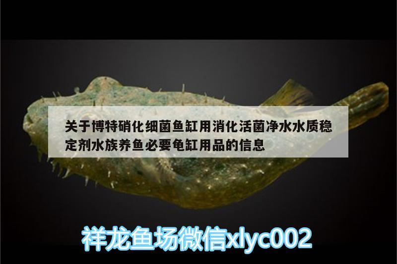 關(guān)于博特硝化細菌魚缸用消化活菌凈水水質(zhì)穩(wěn)定劑水族養(yǎng)魚必要龜缸用品的信息