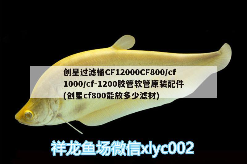 創(chuàng)星過濾桶CF12000CF800/cf1000/cf-1200膠管軟管原裝配件(創(chuàng)星cf800能放多少濾材)