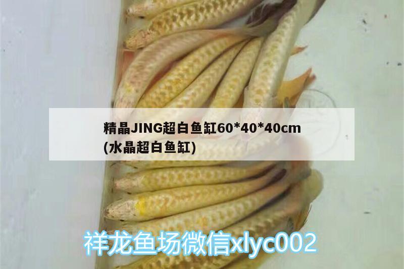 精晶JING超白魚缸60*40*40cm(水晶超白魚缸) 廣州水族器材濾材批發(fā)市場