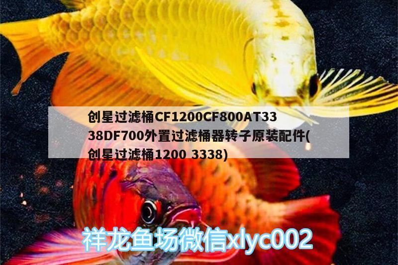 創(chuàng)星過濾桶CF1200CF800AT3338DF700外置過濾桶器轉(zhuǎn)子原裝配件(創(chuàng)星過濾桶12003338)