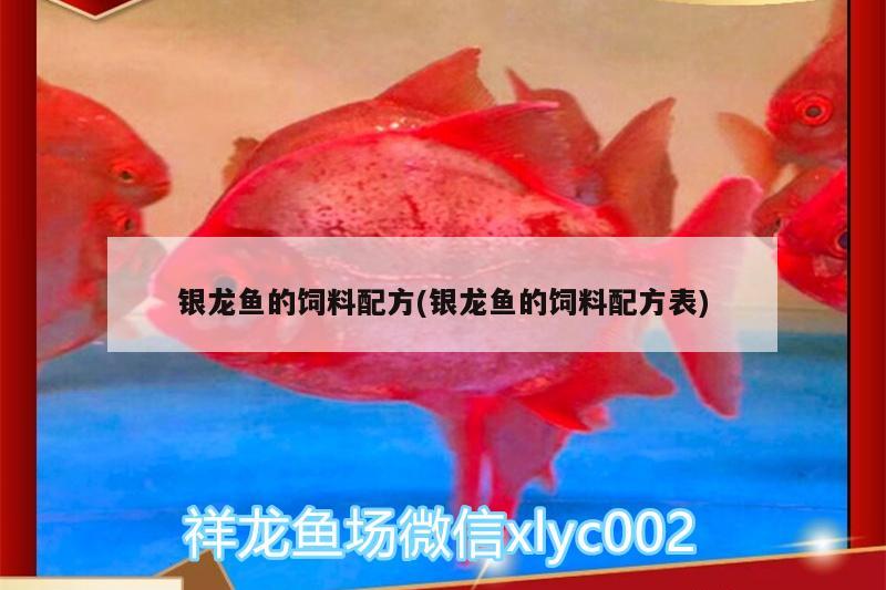 銀龍魚的飼料配方(銀龍魚的飼料配方表)